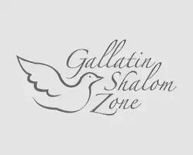 Advance Financial Donation to Gallatin Shalom Zone in 2017