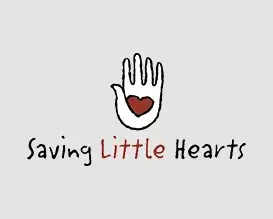 Advance Financial Donation to Saving Little Hearts in 2018