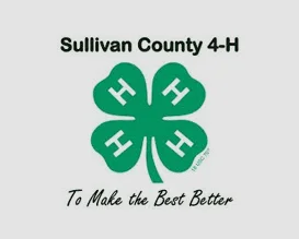 Advance Financial Donation to Sullivan County 4 H in 2019